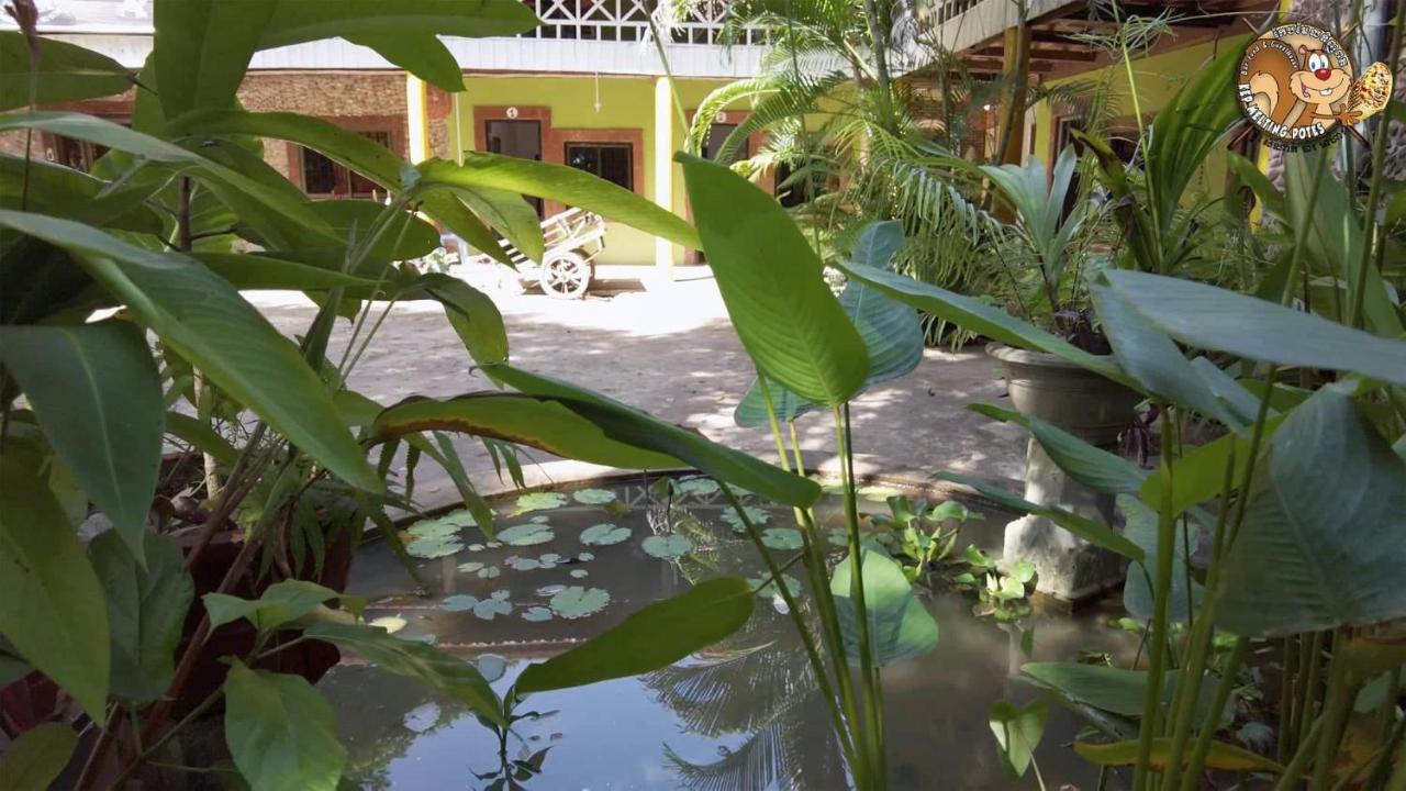 Kep Melting Potes Hotel Kültér fotó